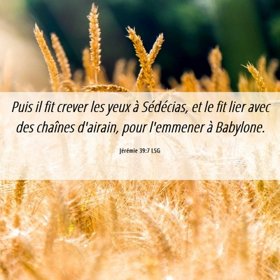 Picture 06 - Jérémie 39:7 LSG - Puis il fit crever les yeux à Sédécias, et le - Bible Verse Picture