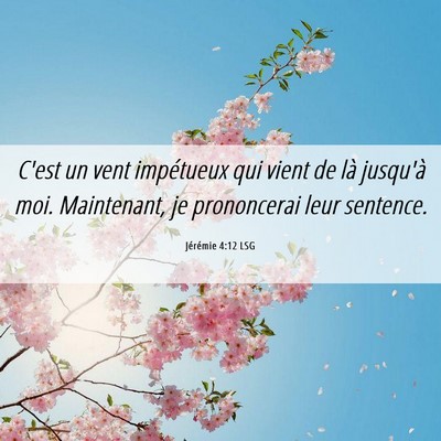 Picture 06 - Jérémie 4:12 LSG - C'est un vent impétueux qui vient de là - Bible Verse Picture