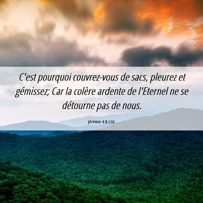 Picture 06 - Jérémie 4:8 LSG - C'est pourquoi couvrez-vous de sacs, pleurez et - Bible Verse Picture