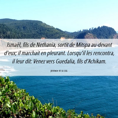 Picture 06 - Jérémie 41:6 LSG - Ismaël, fils de Nethania, sortit de Mitspa - Bible Verse Picture