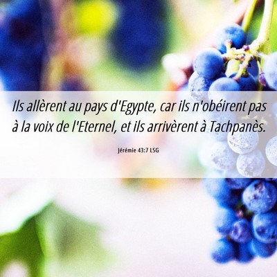 Picture 06 - Jérémie 43:7 LSG - Ils allèrent au pays d'Egypte, car ils - Bible Verse Picture
