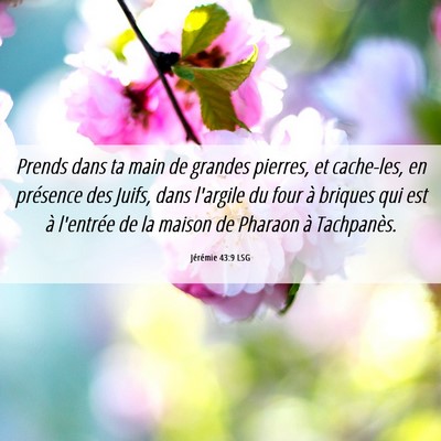 Picture 06 - Jérémie 43:9 LSG - Prends dans ta main de grandes pierres, et - Bible Verse Picture