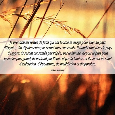 Picture 06 - Jérémie 44:12 LSG - Je prendrai les restes de Juda qui ont tourné le - Bible Verse Picture