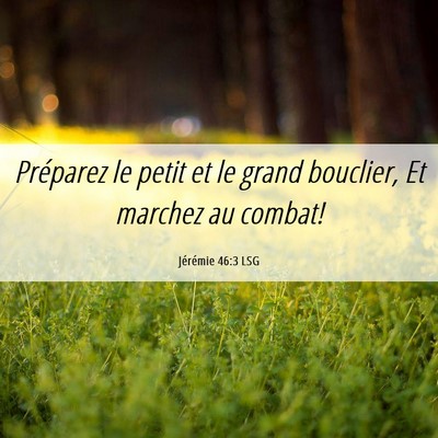 Picture 06 - Jérémie 46:3 LSG - Préparez le petit et le grand bouclier, Et - Bible Verse Picture