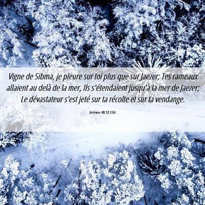 Picture 06 - Jérémie 48:32 LSG - Vigne de Sibma, je pleure sur toi plus que sur - Bible Verse Picture