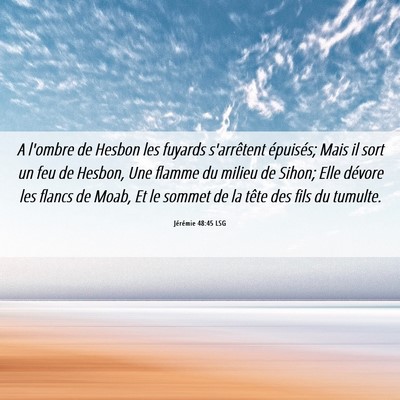 Picture 06 - Jérémie 48:45 LSG - A l'ombre de Hesbon les fuyards s'arrêtent - Bible Verse Picture