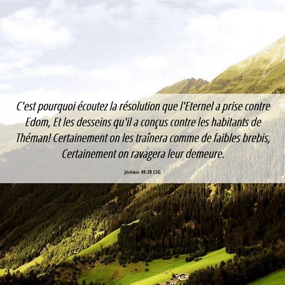 Picture 06 - Jérémie 49:20 LSG - C'est pourquoi écoutez la résolution que - Bible Verse Picture