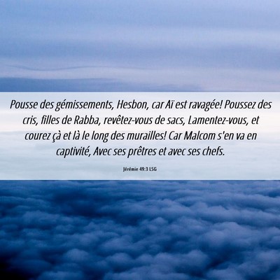 Picture 06 - Jérémie 49:3 LSG - Pousse des gémissements, Hesbon, car Aï est - Bible Verse Picture