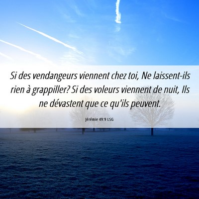 Picture 06 - Jérémie 49:9 LSG - Si des vendangeurs viennent chez toi, Ne - Bible Verse Picture