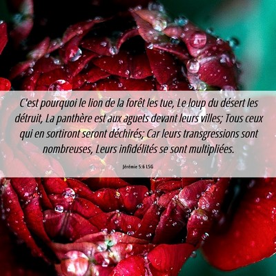 Picture 06 - Jérémie 5:6 LSG - C'est pourquoi le lion de la forêt les tue, Le - Bible Verse Picture