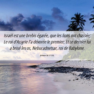 Picture 06 - Jérémie 50:17 LSG - Israël est une brebis égarée, que les lions - Bible Verse Picture