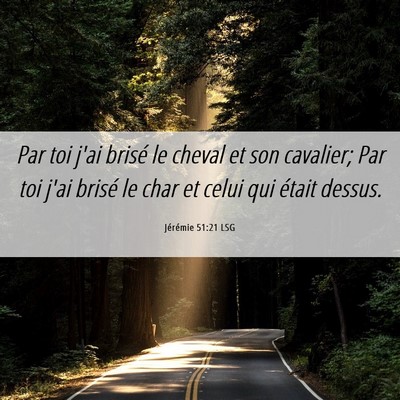 Picture 06 - Jérémie 51:21 LSG - Par toi j'ai brisé le cheval et son cavalier; - Bible Verse Picture