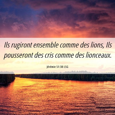 Picture 06 - Jérémie 51:38 LSG - Ils rugiront ensemble comme des lions, Ils - Bible Verse Picture