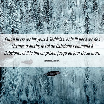 Picture 06 - Jérémie 52:11 LSG - Puis il fit crever les yeux à Sédécias, et le - Bible Verse Picture