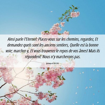 Picture 06 - Jérémie 6:16 LSG - Ainsi parle l'Eternel: Placez-vous sur les - Bible Verse Picture
