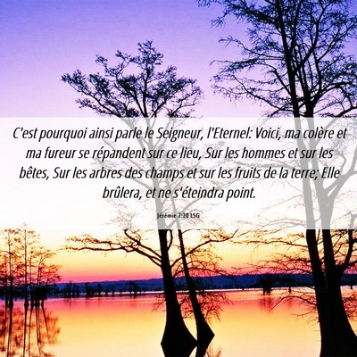 Picture 06 - Jérémie 7:20 LSG - C'est pourquoi ainsi parle le Seigneur, - Bible Verse Picture