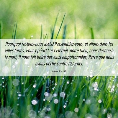 Picture 06 - Jérémie 8:14 LSG - Pourquoi restons-nous assis? Rassemblez-vous, et - Bible Verse Picture