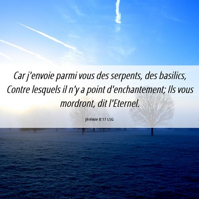 Picture 06 - Jérémie 8:17 LSG - Car j'envoie parmi vous des serpents, des - Bible Verse Picture