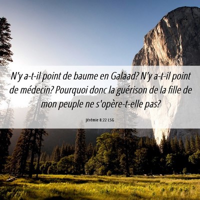 Picture 06 - Jérémie 8:22 LSG - N'y a-t-il point de baume en Galaad? N'y a-t-il - Bible Verse Picture