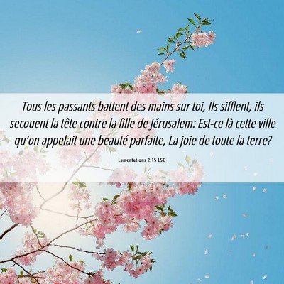 Picture 06 - Lamentations 2:15 LSG - Tous les passants battent des mains sur toi, Ils - Bible Verse Picture