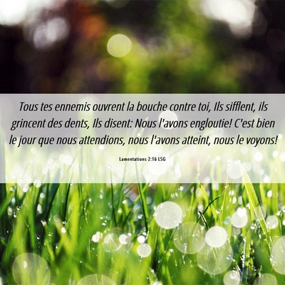 Picture 06 - Lamentations 2:16 LSG - Tous tes ennemis ouvrent la bouche contre toi, - Bible Verse Picture