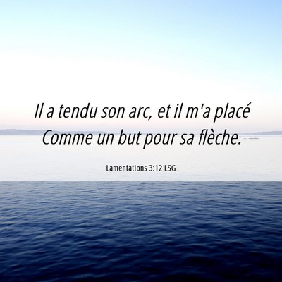 Picture 06 - Lamentations 3:12 LSG - Il a tendu son arc, et il m'a placé Comme un but - Bible Verse Picture