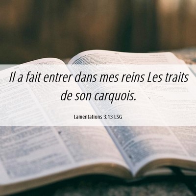 Picture 06 - Lamentations 3:13 LSG - Il a fait entrer dans mes reins Les traits de son - Bible Verse Picture