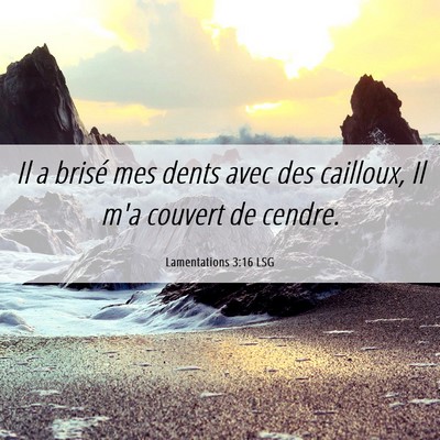 Picture 06 - Lamentations 3:16 LSG - Il a brisé mes dents avec des cailloux, Il m'a - Bible Verse Picture
