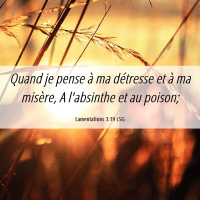Picture 06 - Lamentations 3:19 LSG - Quand je pense à ma détresse et à ma misère, - Bible Verse Picture