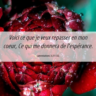 Picture 06 - Lamentations 3:21 LSG - Voici ce que je veux repasser en mon coeur, Ce - Bible Verse Picture