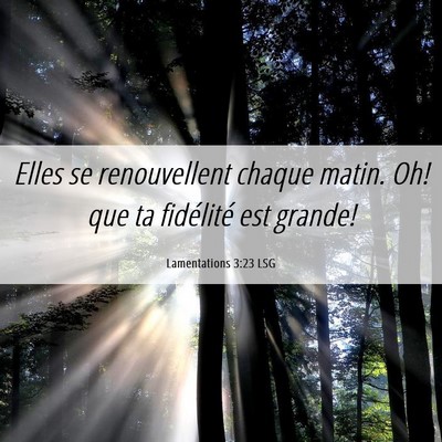 Picture 06 - Lamentations 3:23 LSG - Elles se renouvellent chaque matin. Oh! que ta - Bible Verse Picture
