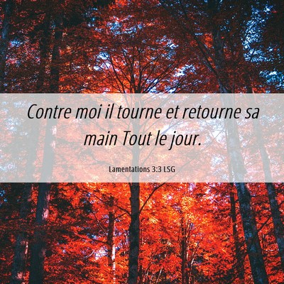 Picture 06 - Lamentations 3:3 LSG - Contre moi il tourne et retourne sa main Tout le - Bible Verse Picture