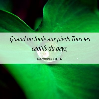 Picture 06 - Lamentations 3:34 LSG - Quand on foule aux pieds Tous les captifs du - Bible Verse Picture