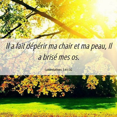 Picture 06 - Lamentations 3:4 LSG - Il a fait dépérir ma chair et ma peau, Il a - Bible Verse Picture