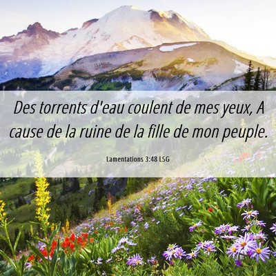Picture 06 - Lamentations 3:48 LSG - Des torrents d'eau coulent de mes yeux, A cause - Bible Verse Picture