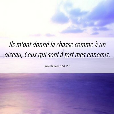 Picture 06 - Lamentations 3:52 LSG - Ils m'ont donné la chasse comme à un oiseau, - Bible Verse Picture