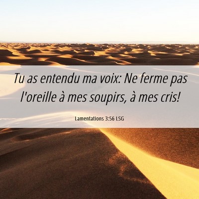 Picture 06 - Lamentations 3:56 LSG - Tu as entendu ma voix: Ne ferme pas l'oreille à - Bible Verse Picture