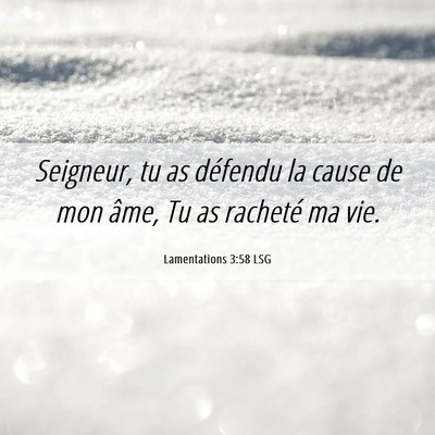 Picture 06 - Lamentations 3:58 LSG - Seigneur, tu as défendu la cause de mon âme, Tu - Bible Verse Picture