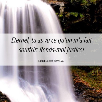 Picture 06 - Lamentations 3:59 LSG - Eternel, tu as vu ce qu'on m'a fait souffrir: - Bible Verse Picture