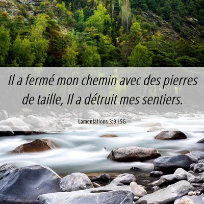 Picture 06 - Lamentations 3:9 LSG - Il a fermé mon chemin avec des pierres de - Bible Verse Picture