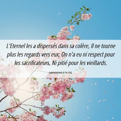 Picture 06 - Lamentations 4:16 LSG - L'Eternel les a dispersés dans sa colère, Il ne - Bible Verse Picture