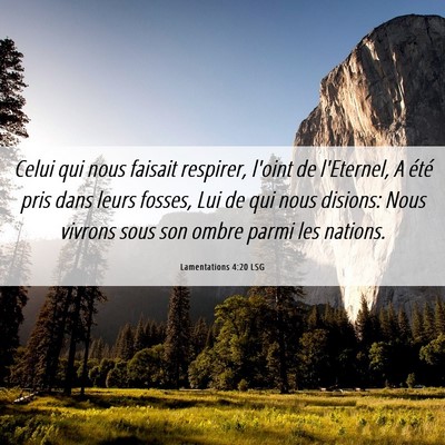 Picture 06 - Lamentations 4:20 LSG - Celui qui nous faisait respirer, l'oint de - Bible Verse Picture