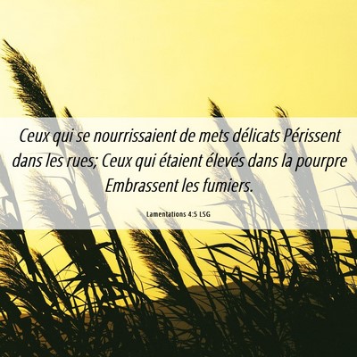 Picture 06 - Lamentations 4:5 LSG - Ceux qui se nourrissaient de mets délicats - Bible Verse Picture