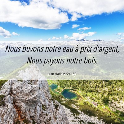Picture 06 - Lamentations 5:4 LSG - Nous buvons notre eau à prix d'argent, Nous - Bible Verse Picture