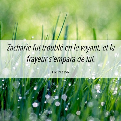 Picture 06 - Luc 1:12 LSG - Zacharie fut troublé en le voyant, et la frayeur - Bible Verse Picture