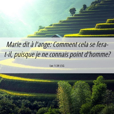 Picture 06 - Luc 1:34 LSG - Marie dit à l'ange: Comment cela se fera-t-il, - Bible Verse Picture