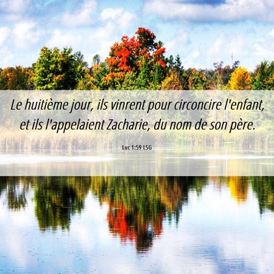 Picture 06 - Luc 1:59 LSG - Le huitième jour, ils vinrent pour circoncire - Bible Verse Picture