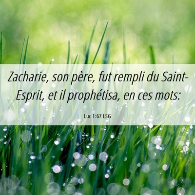 Picture 06 - Luc 1:67 LSG - Zacharie, son père, fut rempli du Saint-Esprit, - Bible Verse Picture