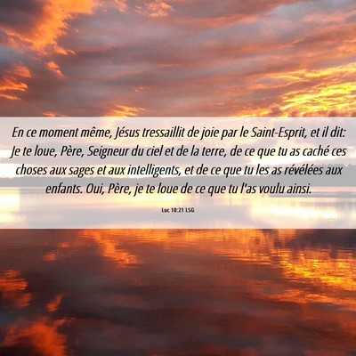 Picture 06 - Luc 10:21 LSG - En ce moment même, Jésus tressaillit de joie - Bible Verse Picture