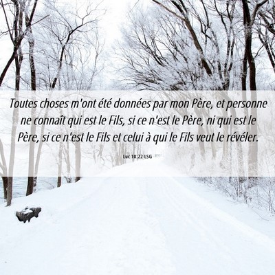 Picture 06 - Luc 10:22 LSG - Toutes choses m'ont été données par mon Père, - Bible Verse Picture